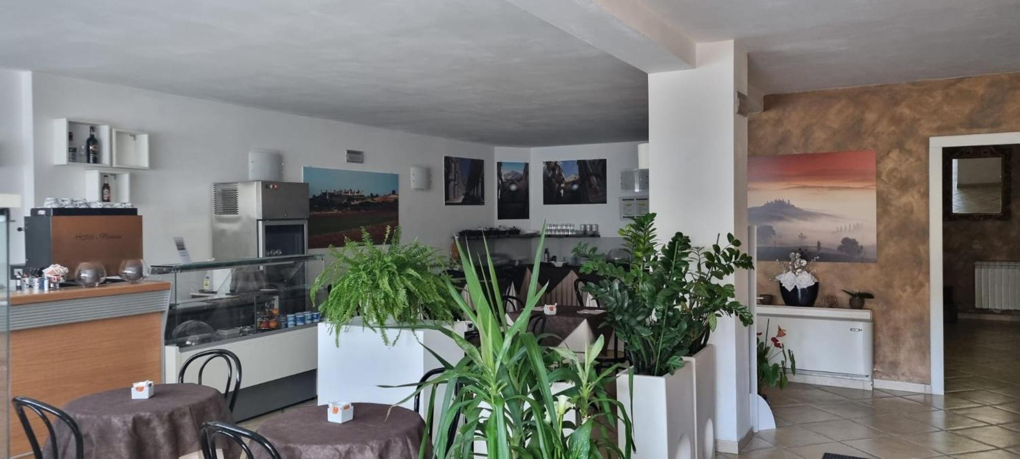 Hotel I Platani Sienne Extérieur photo